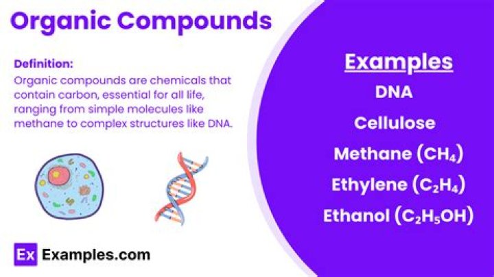 Organic Molecules: The Building Blocks Of Life