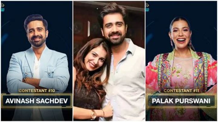 Palak Purswani confirms breakup with Avinash Sachdev, says, 'Respect, loyalty come first in my life' – India TV