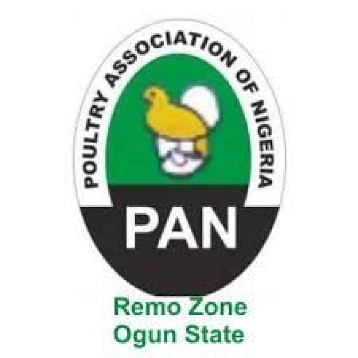 Panog Pin Code | Postal Code (Zip Code) of Panog, Sirmaur, Himachal Pradesh, India