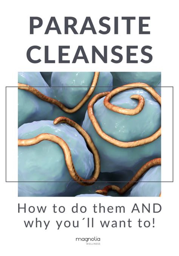 Parasite Cleanses: Is a Cleanse to Poop Out Worms Ever a Good Idea?