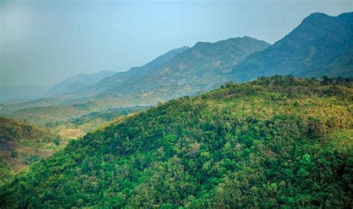 Parkup Pahar Pin Code | Postal Code (Zip Code) of Parkup Pahar, Nagaon, Assam, India
