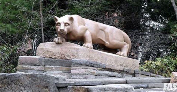 Comprehensive Guide To COVID-19 Testing At Penn State