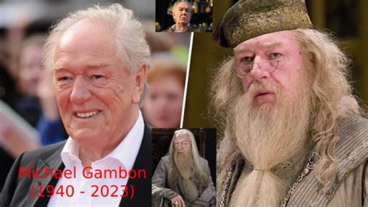 Unveiling The Icon: A Journey Through Pics Of Michael Gambon