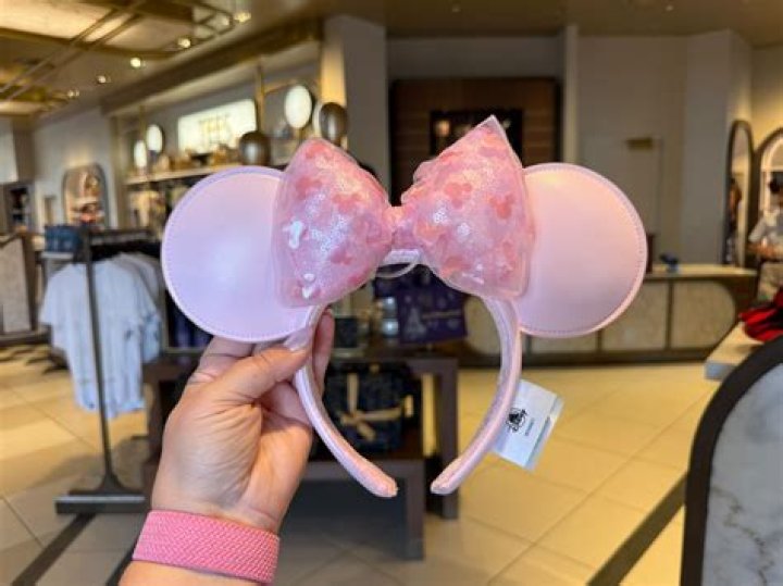 Pink Minnie Mouse Ears From Disney: We Want / Need