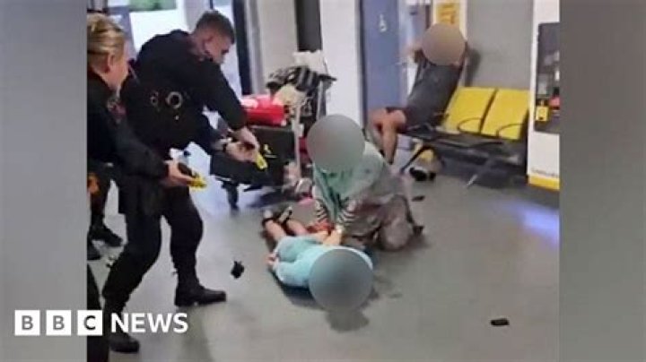 Pit Bull snatches little dog from woman in US restaurant, attacks him brutally. Watch – India TV