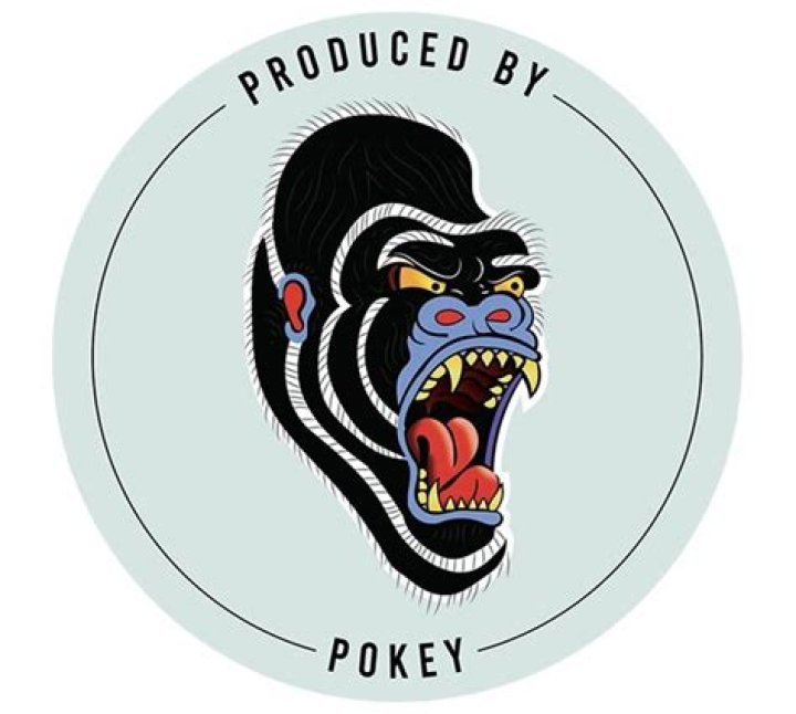 Discovering The Enigmatic World Of Pokey Spears