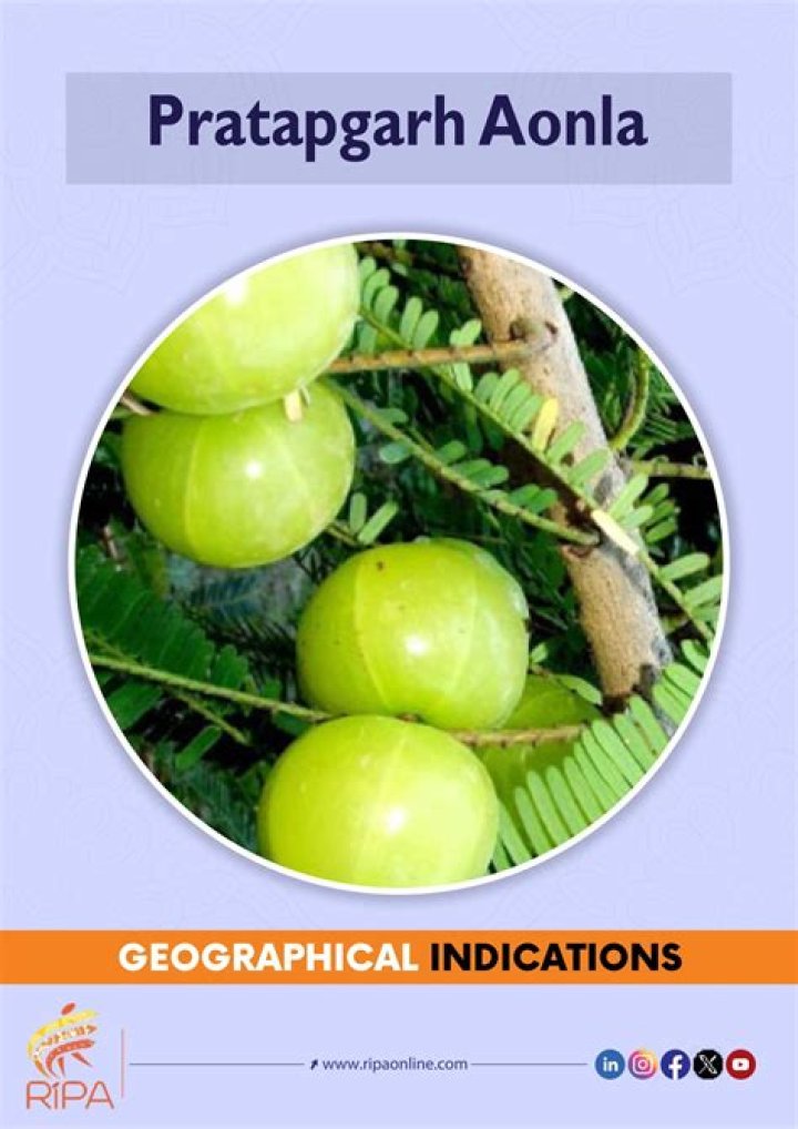 Pratapgarh Postal Code | Pin Code of Pratapgarh,Uttar Pradesh