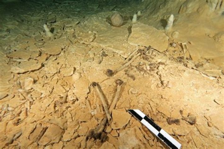 Prehistoric human skeleton found in Mexican cave flooded at end of last ice age