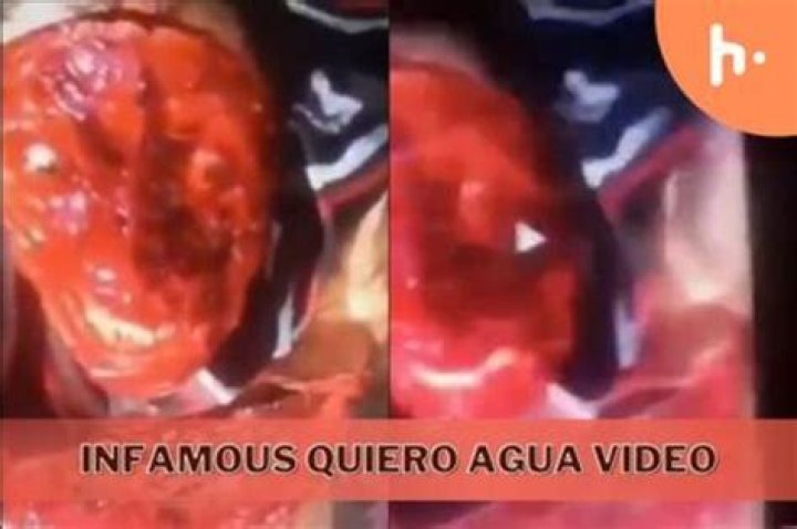 Exploring The Fascinating World Of Quiero Agua Gore Videos