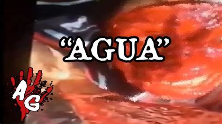 Quiero Agua Video Original: Everything You Need To Know