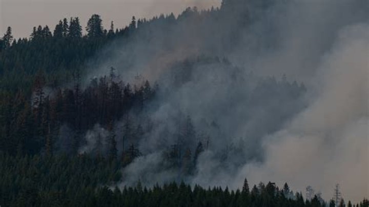 Rainfall aids crews in halting Hospital Fire's spread in Orofino, mop up begins