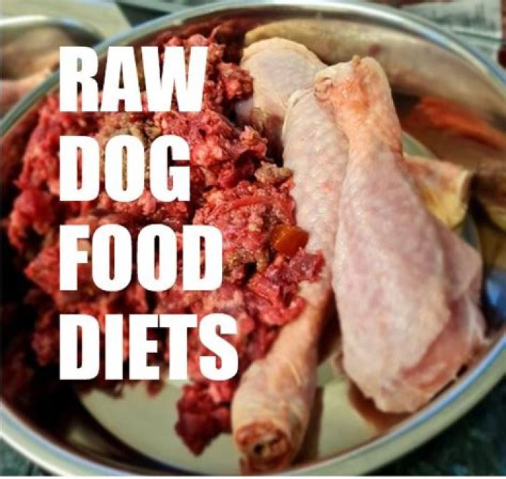 Raw Dog Food Diet With Brains, Wallaby Tail Goes Viral—But Is It Healthy?