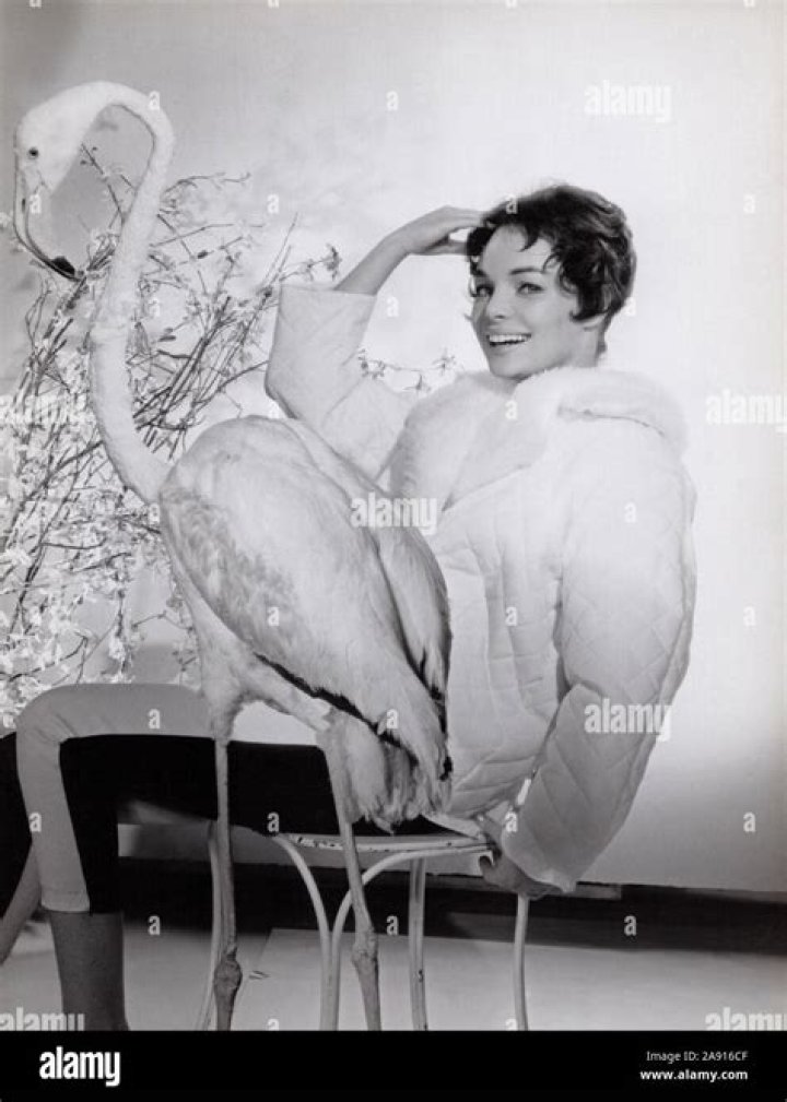 Unveiling The Life Of Renate Ewert: A Multifaceted Journey