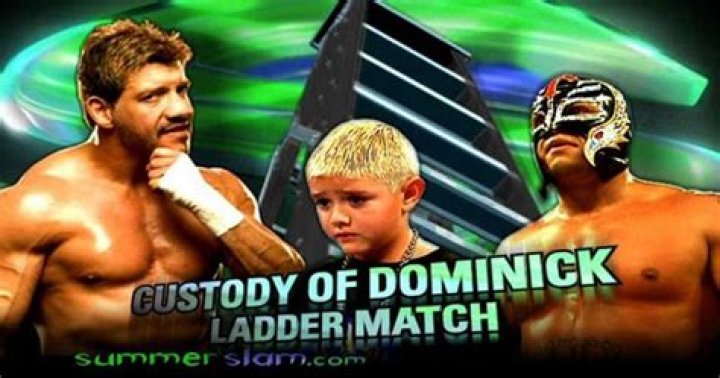 Rhea Ripley Jokes About Having ‘Custody of Dominik’ Ladder Match With WWE Fan