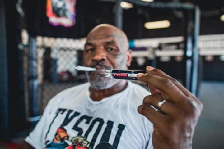 Ric Flair & Mike Tyson’s Cannabis Lines Get Bought Out