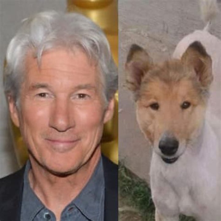 5 Surprising Celebrities Richard Gere Looks Like