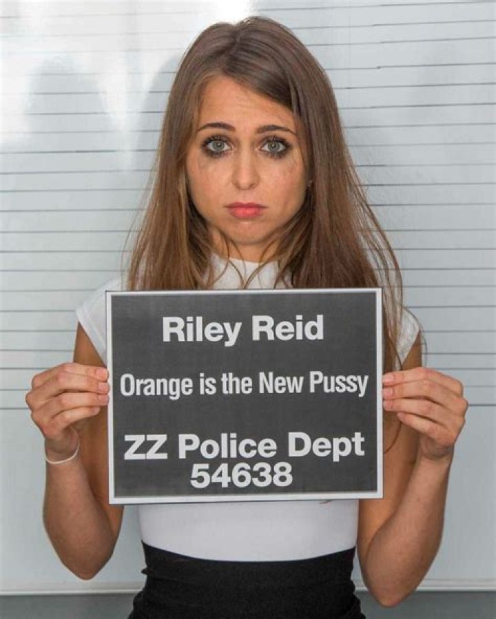Exploring The World Of Riley Reid Films