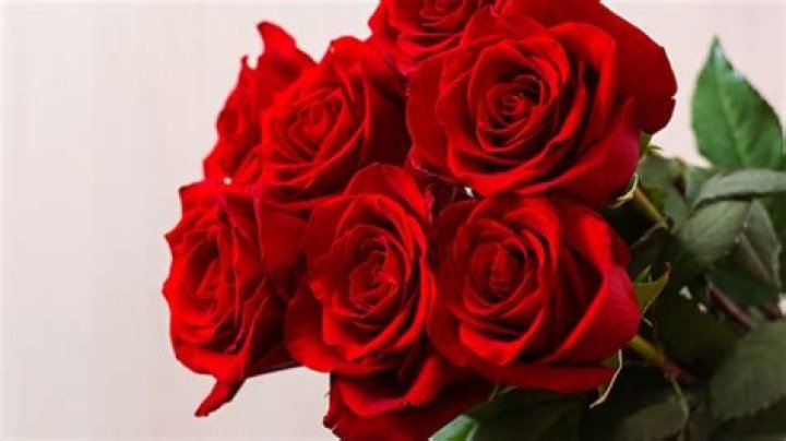 Make your Valentine feel special by giving roses according to their zodiac sign – India TV