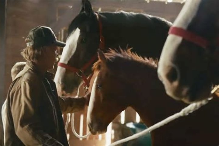 Unraveling The Charm Of Roy Russell In The Budweiser Commercial