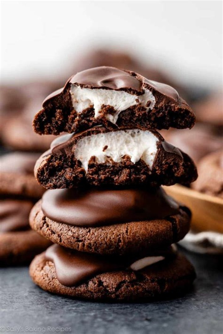 Indulge In The Sweet Comfort Of Sally's Hot Cocoa Cookies