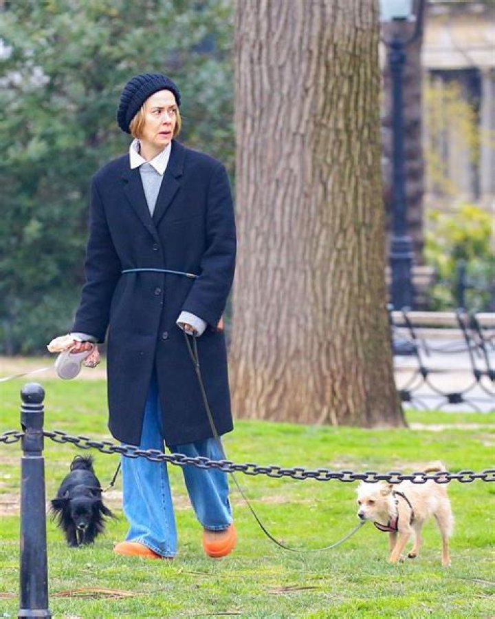 Unleashing The Love: Sarah Paulson And Her Adorable Dogs