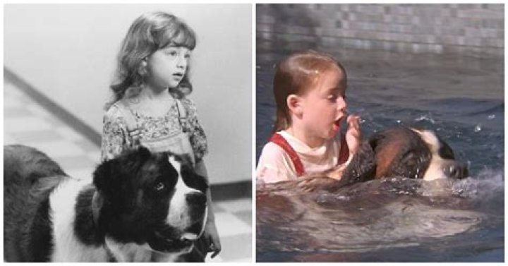 Exploring The Life And Journey Of Sarah Rose Karr: A Remarkable Actress