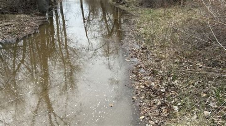Section of the Boise River Greenbelt closed due to flooding