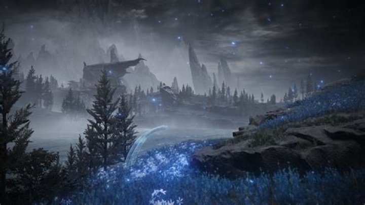 Unveiling The Mysteries Of The Shadow Of The Erdtree Cerulean Coast