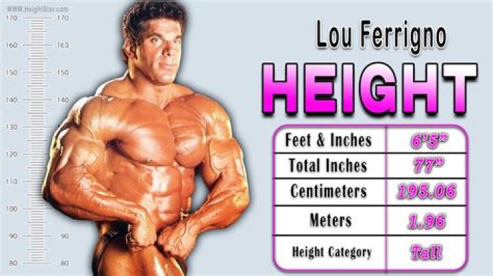 Discovering Shanna Ferrigno: A Deep Dive Into Her Height And More