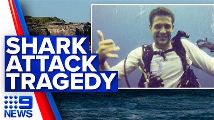 **The Thrill Of Shark Attack Diving: An Adventure Like No Other**