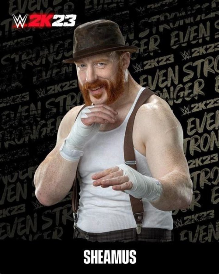 Sheamus Tried To Get His Old WWE Entrance Music Back