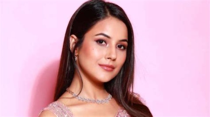 Shehnaaz Gill Upcoming movies: Actress shares she has 4-5 films in the pipeline