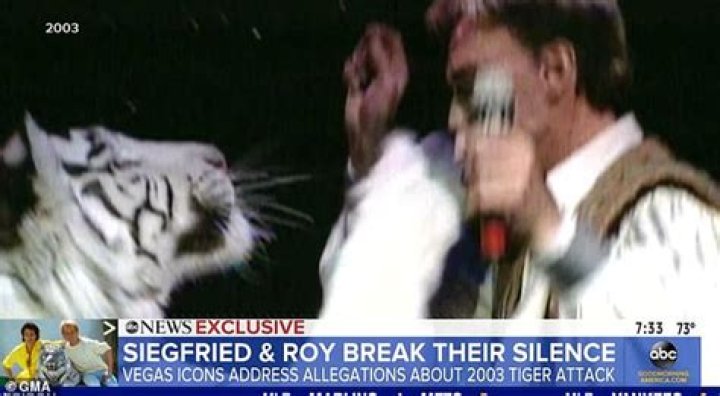 Siegfried And Roy Tiger Attack Video: A Deep Dive Into The Incident And Its Aftermath