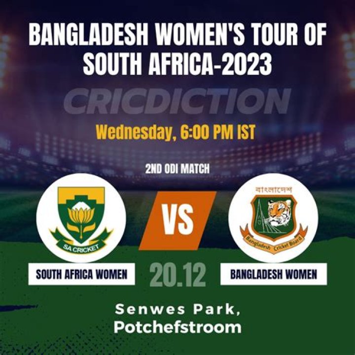 Willowmoore Park, Benoni Pitch Report – India TV