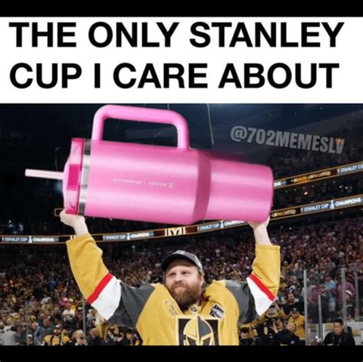 Exploring The Hilarity Of The Stanley Cup Meme Phenomenon