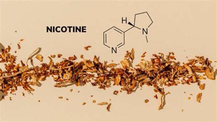 The Truth About Tar Vs Nicotine: What You Need To Know