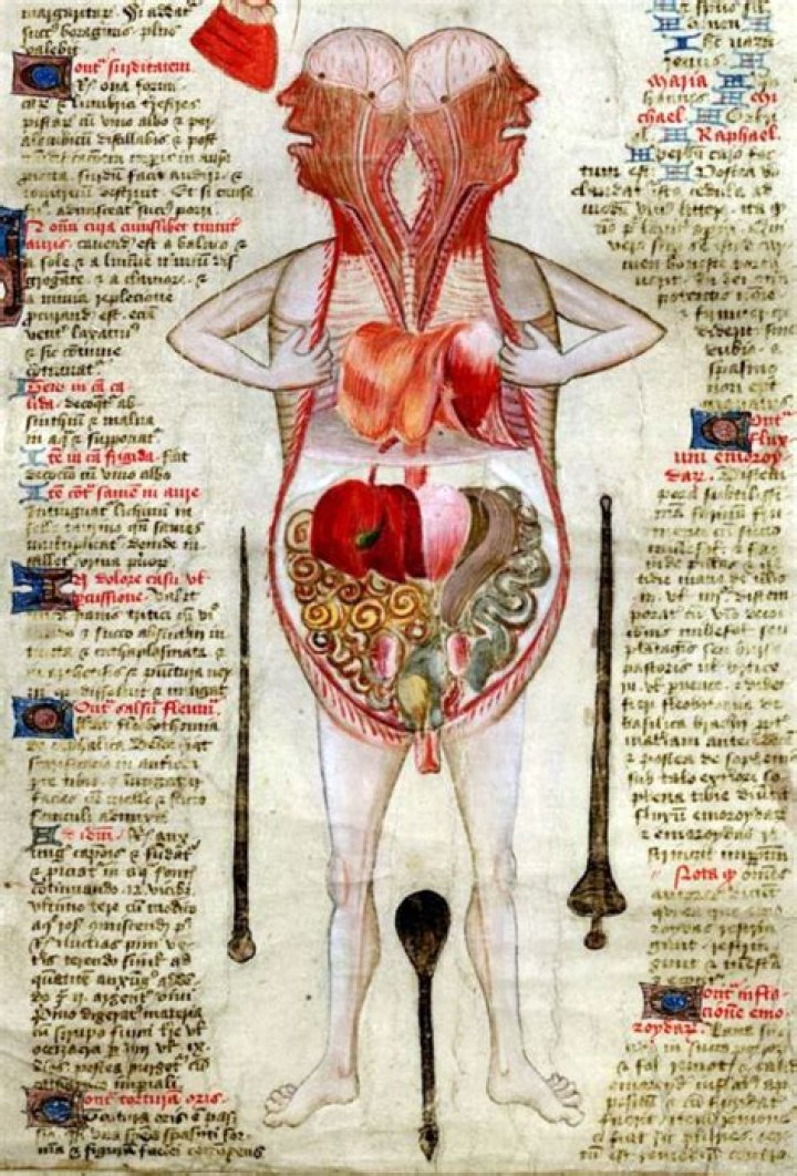 Tarrare Autopsy: Unveiling The Strange Case Of A Human Curiosity