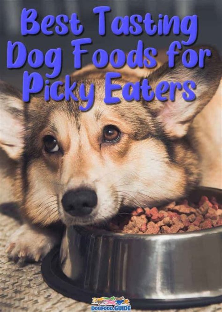 The Ultimate Guide To The Tastiest Dog Food For Picky Eaters