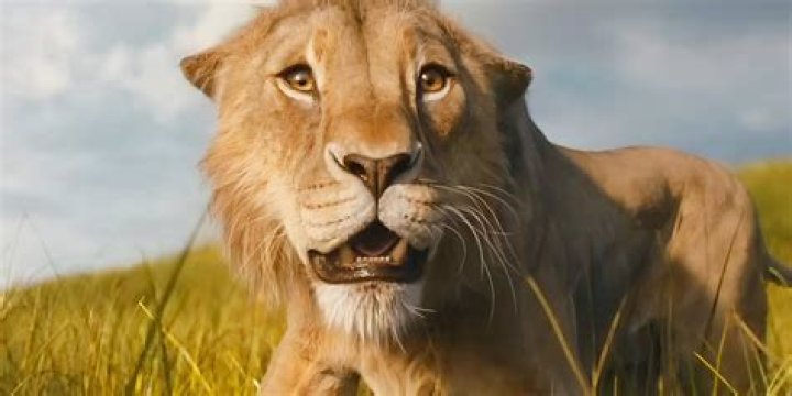 The Lion King Movierulz: An In-Depth Review And Analysis
