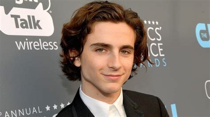 Timothée Chalamet Donates Entire Salary From Woody Allen Film