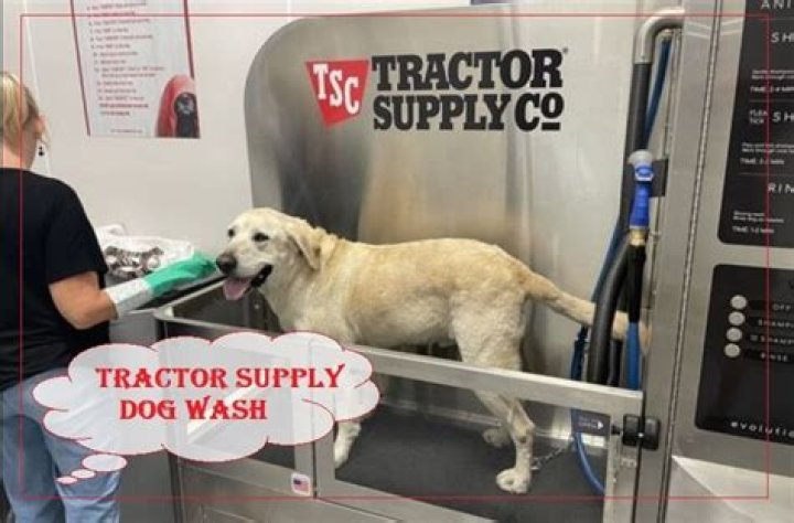 Discover The Benefits Of Tractor Supply Dog Wash For Your Furry Friend