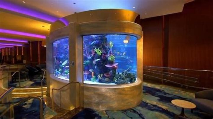Tracy Morgan's Aquatic Paradise: The Fish Tank Pool House