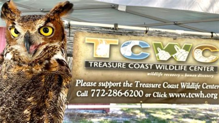 Treasure Coast Wildlife Center Hosts Annual ‘GHOULA’