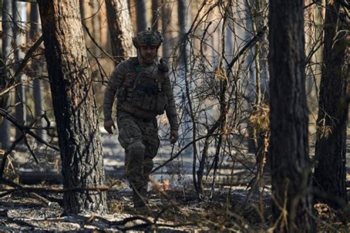 Ukraine Army's 'Invisibility Cloak' Ready for Mass Production: Developers