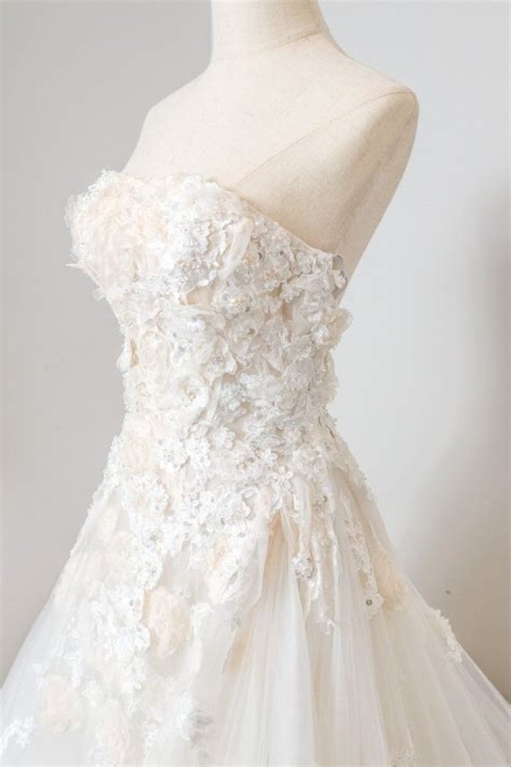 Designer Wedding Dress Hire From £12