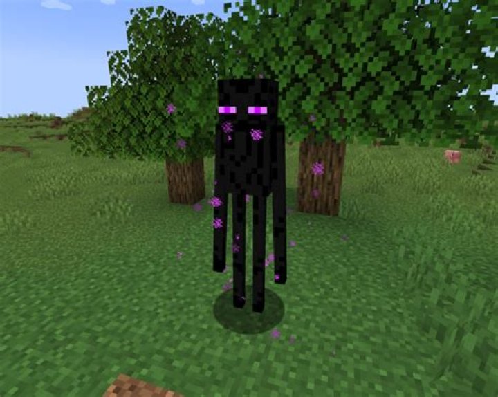 Question: What Are Endermen Scared Of