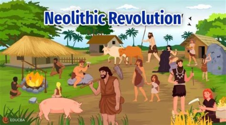 What Are Some Negative Effects Of The Neolithic Revolution