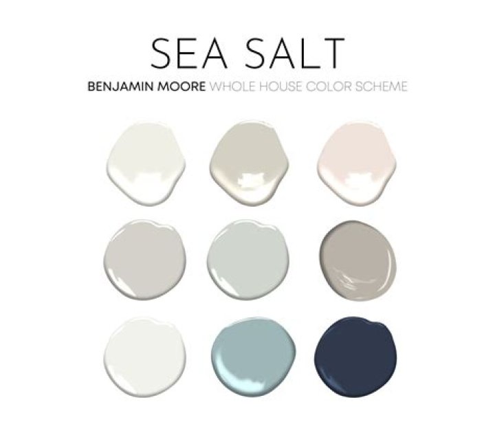 Quick Answer: What Color Is Benjamin Moore Sea Salt