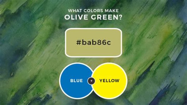 Quick Answer: What Colors Make Olive Green