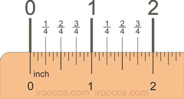 Question: What Does 1 Inch Look Like